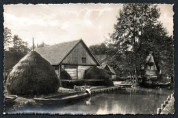 A1536 - Alte Foto Ansichtskarte - Spreewald - Wasserstraße In Lehde - Lübbenau - N. Gel - Meixner TOP - Lübbenau