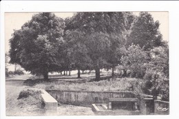 SAMPANS - Champ Des Fêtes - Lavoir - Autres & Non Classés