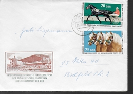 DDR   Lettre Cheval Hippisme - Reitsport