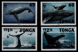 (039) Tonga   WWF / Marine Life / Vie / Whales / Baleines / Wale   ** / Mnh  Michel 1400-03 - Tonga (1970-...)