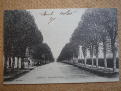 Carte Postale Ancienne Précurseur Croissy (78) Yvelines Avenue Des Tilleuls - Croissy-sur-Seine