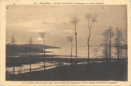 (13363-29) Daoulas - La Jolie Baie De Rosmellec Au Soleil Couchant - Logonna - Daoulas