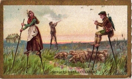 5 Trade Cards Stilt Walking ECHASSES Stelzen Landes De Gascogne Berger Landais Pub  Amidon Remy DEP Landes - Other & Unclassified