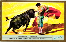 6 Trade Cards    Chromo   BULLFIGHT TORERO Tauromachie  Pub Liebig - Andere & Zonder Classificatie