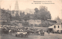 ¤¤  -  38  -  QUINTIN   -   Le Champ De Foire  -  Marché Aux Boeufs  -  ¤¤ - Quintin