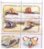 2000 Snails 5 Values Set   MNH - Unused Stamps
