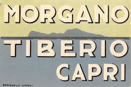 D5613 "MORGANO TIBERIO - CAPRI - ITALIA" ETICHETTA ORIGINALE - ORIGINAL LABEL - Etiquettes D'hotels