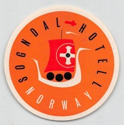 D5618 "SOGNDAL HOTEL - NORWAY" ETICHETTA ORIGINALE - ORIGINAL LABEL - Etiquettes D'hotels