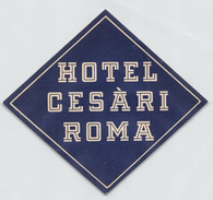 D5625 " HOTEL CESARI - ROMA - ITALIA" ETICHETTA ORIGINALE - ORIGINAL LABEL - Etiquettes D'hotels