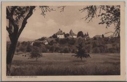 Dorf Und Schloss Kyburg - Dorf