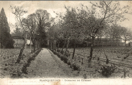 BLANQUEFORT  DOMAINE DE CURGAN - Blanquefort