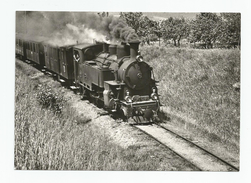 Suisse - Vaud Train Pour Morges Près De Bière 1942 Cpm - Bière