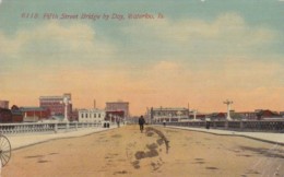 Iowa Waterloo Fifth Street Bridge By Day 1912 - Waterloo