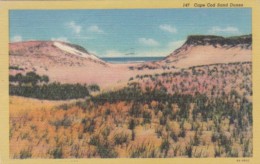 Massachusetts Cape Cod Sand Dunes 1952 Curteich - Cape Cod