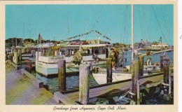 Massachusetts Cape Cod Greetings From Hyannis Showing Excursion Boats - Cape Cod