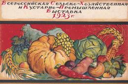 RSFSR . Post Card . Agricultural Exhibition 1923 In Moscow - Lettres & Documents