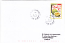 Polynésie Française, Lettre De 2000, FARE-HUAHINE,ILES SOUS LE VENT, N° 588 ( Poly17/045) - Storia Postale