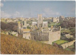 The Bishop's Palace, St. David's, Pembrokeshire, View From The West, 1978 Used Postcard [19683] - Pembrokeshire