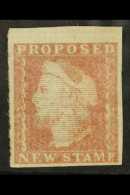 1879 TENDER Essay Inscribed "Proposed New Stamp" In Red-brown, Similar To Charles Skipper Dummy Stamp Illustrated... - Sonstige & Ohne Zuordnung