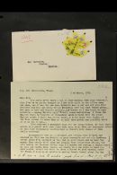 AMAZING CORRESPONDENCE WITH GREAT FRANKINGS 1949-1988 Substantial Assembly Of Lengthy Easy To Read Typed Or... - Tonga (...-1970)