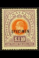 NATAL 1904 - 08 £1.10s Brown Orange And Deep Purple, Ovptd "Specimen", SG 162s, Very Fine And Fresh Mint.... - Unclassified