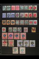 NATAL 1902-09 USED HOARD Presented On Stock Pages. Lightly Duplicated And Some Issues Bearing Fiscal Cancels Plus... - Non Classés