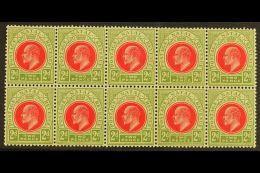 NATAL 1902-03 2d Red & Olive Green, SG 130, BLOCK Of 10 (5 X 2), Never Hinged Mint (10 Stamps) For More... - Unclassified