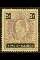 CAPE OF GOOD HOPE REVENUE 1903 5s Lilac & Black, Barefoot 152, Never Hinged Mint, Diagonal Crease. For More... - Unclassified