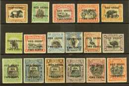 1918 "RED CROSS TWO CENTS" Surcharges Set, SG 214/34, Very Fine Mint, Scarce Set (17). For More Images, Please... - Borneo Del Nord (...-1963)