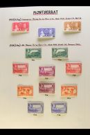 1937-1951 COMPLETE VERY FINE MINT COLLECTION On Leaves, All Different, COMPLETE For The Period, Inc 1938-48... - Montserrat