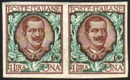 1901 1L Brown And Green, Variety "IMPERF PAIR", Sass 77g, Superb NHM. For More Images, Please Visit... - Unclassified