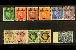 TRIPOLITANIA 1950 "B.A." Set To 24L On 1s (SG T14/23), Plus 24L On 1s Postage Due (SG TD10), Very Fine Mint. (11... - Africa Oriental Italiana