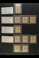 1938-53 12s6d KGVI KEY PLATES. ATTRACTIVE MINT SPECIALIZED COLLECTION On Stock Pages With Identified Various... - Bermudes