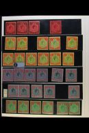 1938-1949 ATTRACTIVE FINE MINT RANGES On Stock Pages, Some Are Never Hinged, Inc 1938-52 Pictorials Set Inc 2d... - Bermudes