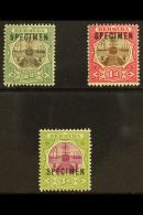 1902 Dry Dock Set Ovprinted "Specimen", SG 31s/3s, Very Fine Mint. (3 Stamps) For More Images, Please Visit... - Bermudes