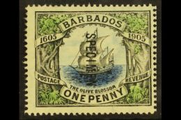 1906 SPECIMEN 1d Black, Blue & Green Tercentenary "Olive Blossom" Overprinted "Specimen", SG 152s, Very Fine... - Barbades (...-1966)