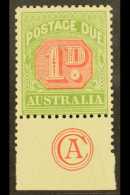 POSTAGE DUES 1909 1d Rosine And Yellow Green, SG D64, Superb Mint With Bottom Margin Showing "CA" Monogram. For... - Andere & Zonder Classificatie