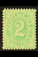 POSTAGE DUE 1902-04 2s Emerald-green Perf 11½,12, SG D20, Very Fine Mint, Fresh. For More Images, Please... - Autres & Non Classés