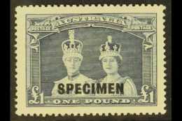 1937-49 £1 Bluish Slate "Robes" Value With "SPECIMEN" Overprint, SG 178s, Very Fine Mint, Cat £800.... - Autres & Non Classés