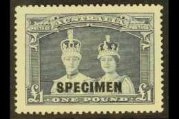 1937-49 £1 Bluish Slate "Robes" Value With "SPECIMEN" Overprint, SG 178s, Very Fine Mint, Cat £800.... - Altri & Non Classificati