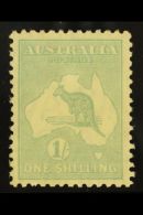 1929-30 1s Blue-green 'Roo, SG 109, Never Hinged Mint. For More Images, Please Visit... - Other & Unclassified