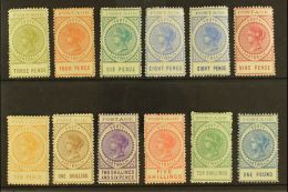 SOUTH AUSTRALIA 1902-04 'tall' Perf 11½-12½ Complete Set Inc Both 8d, SG 268/79, Fine Mint, Lovely... - Andere & Zonder Classificatie