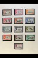 1953-1966 COMPLETE SUPERB MINT COLLECTION In Hingeless Mounts On Leaves, All Different, Inc 1956 Set, 1963 Birds... - Ascensione