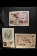 RED CROSS FIRST DAY COVERS / MAXI-CARDS ALL WORLD 1946-99 COLLECTION Housed In An Album, Includes A Number Of 1963... - Unclassified