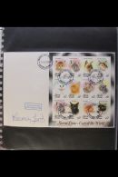 CATS 1980s & 1990s COLLECTION Of Cats On Covers In A Dedicated Album, ALL DIFFERENT & Inc Signed Covers,... - Non Classés