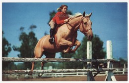 COWGIRL RIDING HORSE, BLUEBLOOD HURDLE JUMPER - AMERICAN WESTERN SCENE C1960s Vintage Postcard - Other & Unclassified