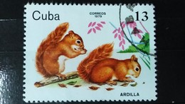 RARE 13C CORREOS CUBA 1979 ARDILLA MIND STAMP TIMBRE - Usados