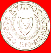 § SILVER BOWL: CYPRUS ★ 5 CENTS 1993! LOW START★ NO RESERVE! - Zypern