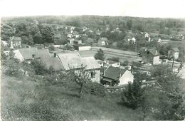 Cpsm BUTRY 95 Vue Panoramique ( Maisons Rue Juliete Crosnier, Et 27 Rue Pasteur à Droite ) - Butry