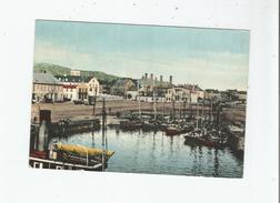 SAINT PIERRE ET MIQUELON  VUE PANORAMIQUE) 1959 - Saint Pierre And Miquelon